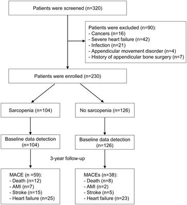 Sarcopenia is associated with increased major adverse cardiovascular event incidence in maintenance hemodialysis patients: a prospective cohort study and mediation analysis